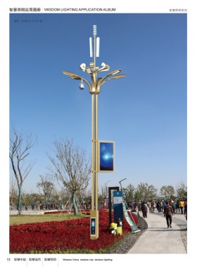 智慧路灯 ZHZM-011