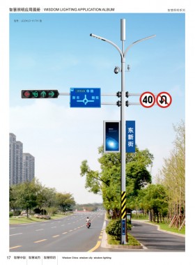 智慧路灯 ZHZM-017