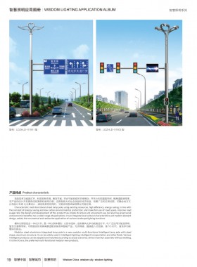 智慧路灯 ZHZM-019