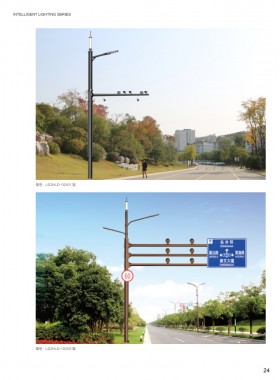 智慧路灯 ZHZM-024