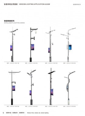 智慧路灯 ZHZM-009
