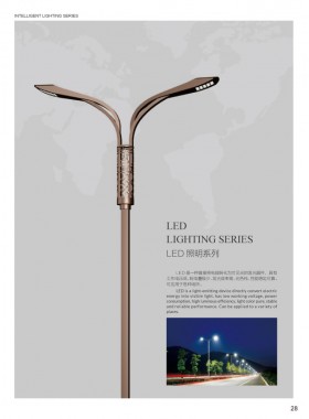 LED路灯 LEDLD-001
