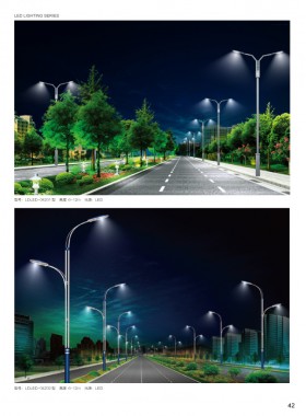 LED路灯 LEDLD-015