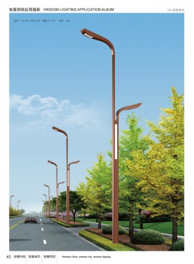 LED路灯 LEDLD-016