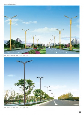 LED路灯 LEDLD-017