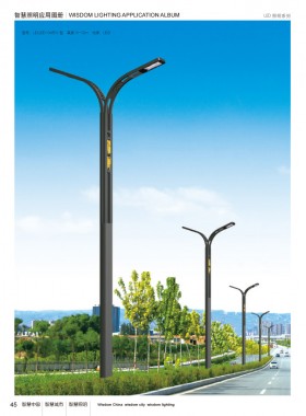 LED路灯 LEDLD-018