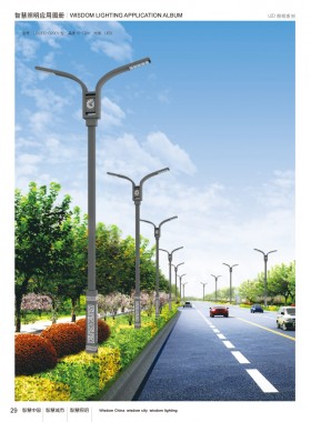 LED路灯 LEDLD-002