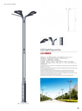 LED路灯 LEDLD-021