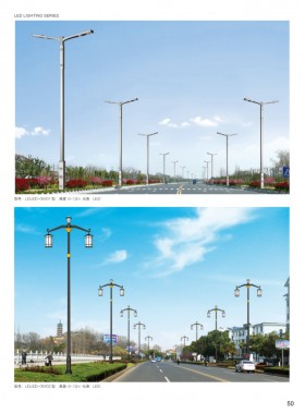 LED路灯 LEDLD-023