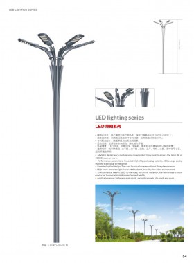 LED路灯 LEDLD-027