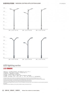 LED路灯 LEDLD-028