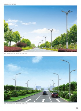 LED路灯 LEDLD-029