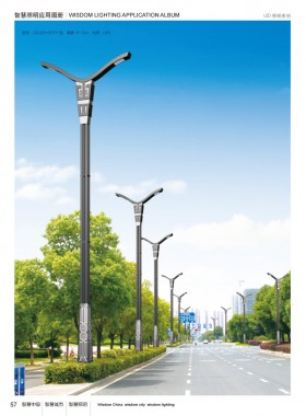 LED路灯 LEDLD-030