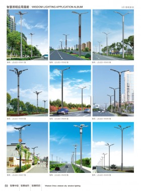 LED路灯 LEDLD-032