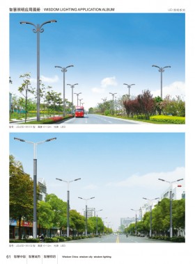 LED路灯 LEDLD-034