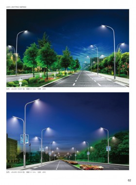 LED路灯 LEDLD-035