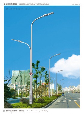LED路灯 LEDLD-036