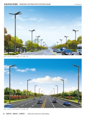 LED路灯 LEDLD-004