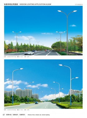 LED路灯 LEDLD-040