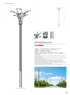LED路灯 LEDLD-041