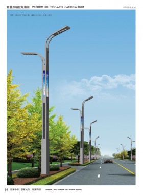 LED路灯 LEDLD-042