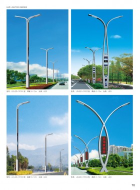 LED路灯 LEDLD-043