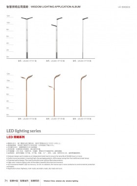 LED路灯 LEDLD-044