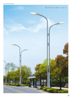 LED路灯 LEDLD-045