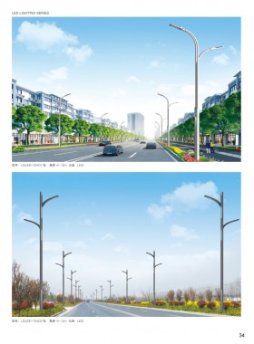 LED路灯 LEDLD-007