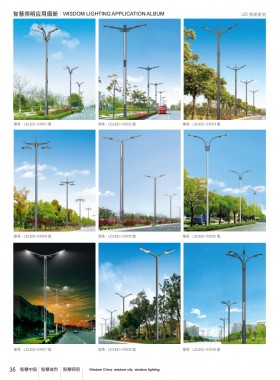 LED路灯 LEDLD-008