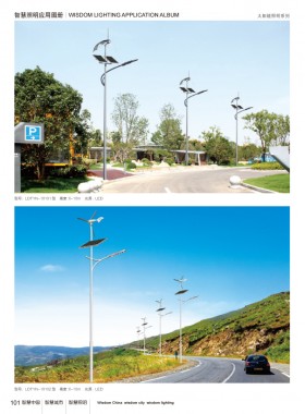 太阳能路灯 TYNLD-016