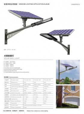 太阳能路灯 TYNLD-034