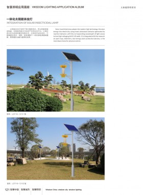 太阳能路灯 TYNLD-036