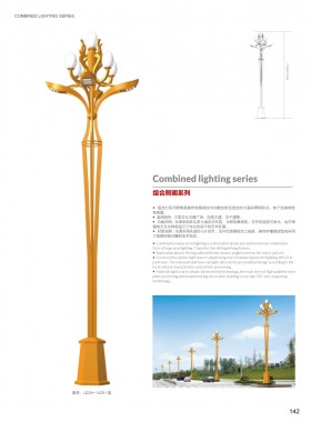 组合灯 ZHD-021