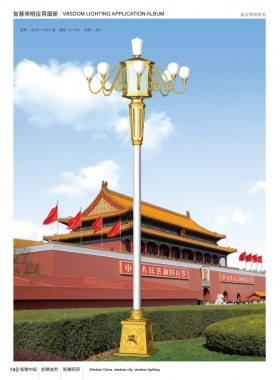 组合灯 ZHD-028