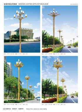 组合灯 ZHD-008
